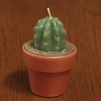 Small Cactus (3x4")