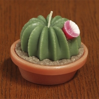 Medium Cactus (3 1/2"x 2 1/2")