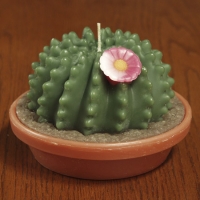 Large Cactus (5 1/2"x4")