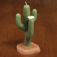 Saguaro ( 4x9")