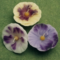 Midsize Pansy Floating Candle