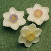 Daffodil Floating Candle
