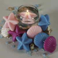 Seashells
