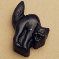 Black cat