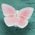 NEW! Floating Butterfly