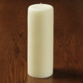 3x9" unscented pillar