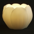 Lotus Luminary